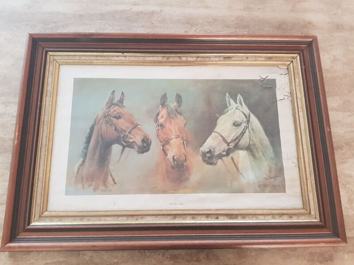 Racehorse Framed Picture