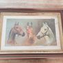 Racehorse Framed Picture Image 2