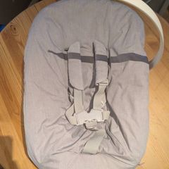 Stokke Tripp Trapp Baby Seat