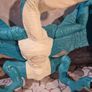 ZURU Robo Alive Dino Action Pterodactyl  Robotic Dinosaur Toy with Roar & Wing Movement Image 6