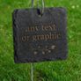 Pet Memorials Image 9