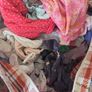 kids cloths Image 7