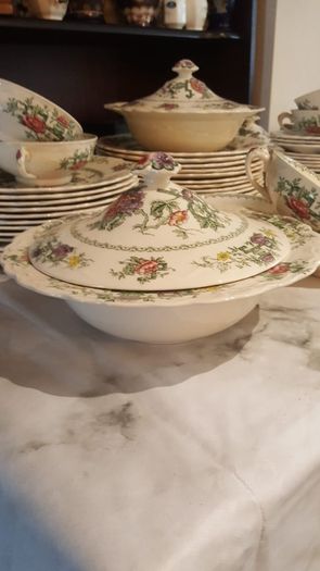 Vintage Crown Ducal Chinese Garden Dinner Set