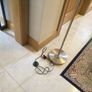 Floor Image 2