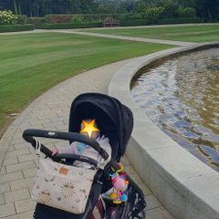 Travel System Bundle (Cybex Balios S Lux)