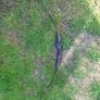 Recurve Bow Image 2