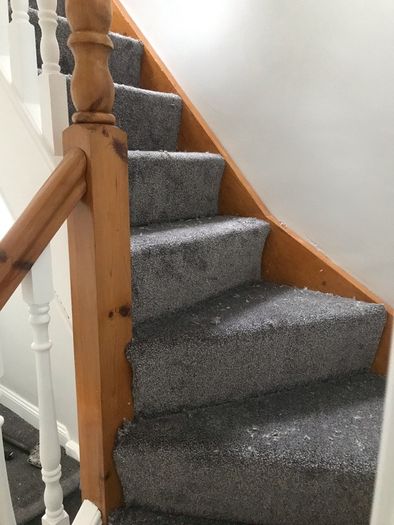 Carpet