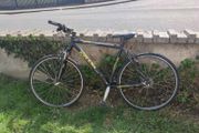 Bike (Kelly)