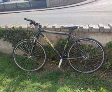 Bike (Kelly)