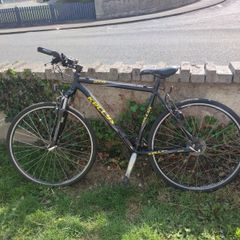 Bike (Kelly)
