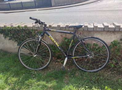 Bike (Kelly)