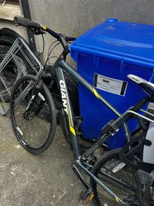 giant bike