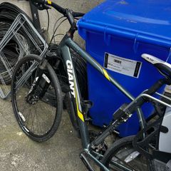giant bike
