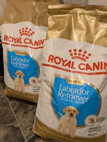 Royal Canin 2x 12kg Labrador  Retriever puppy food