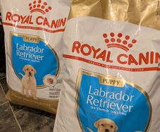 Royal Canin 2x 12kg Labrador  Retriever puppy food