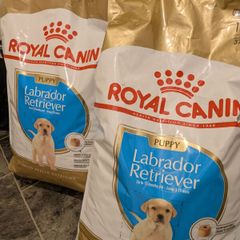 Royal Canin 2x 12kg Labrador  Retriever puppy food