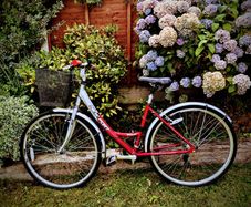 Small ladies bike