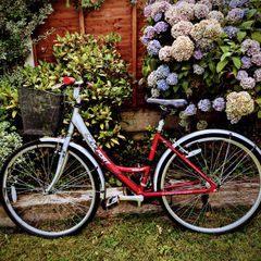 Small ladies bike