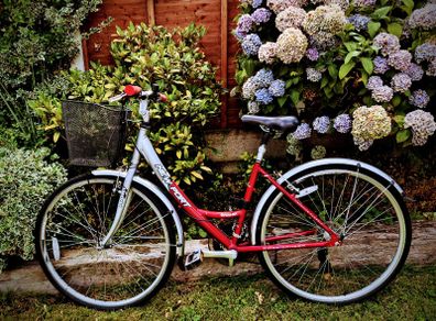 Small ladies bike