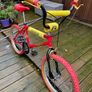 Raleigh Burner Image 8