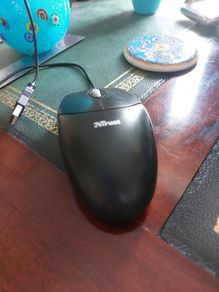 Mouse