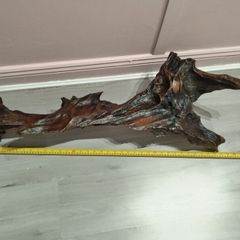 Bog oak