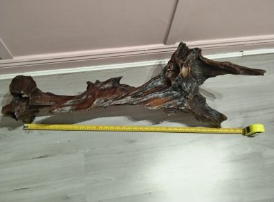 Bog oak