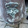 copper Image 3