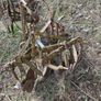 old farm machinery Image 10