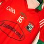 Rathdowney GAA Player Issued Goalkeeper Jersey Image 3