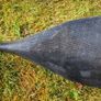 Carbon SUP Paddle Image 2