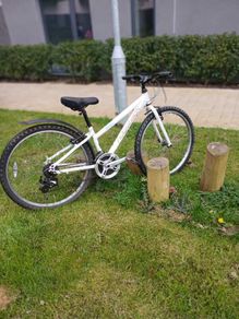 Ridgeback kids bike