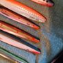Sea Trout Lures + Wallet Image 3