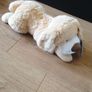 Dog teddy - brand new Image 3