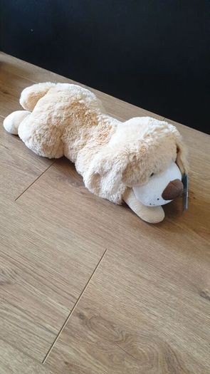 Dog teddy - brand new