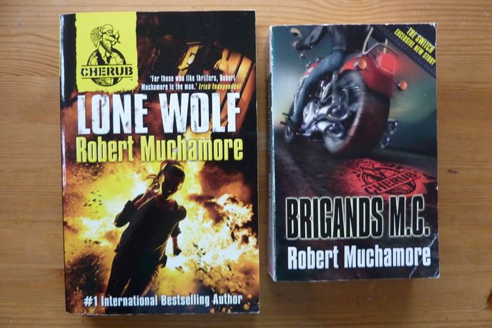 Muchamore books for young adults
