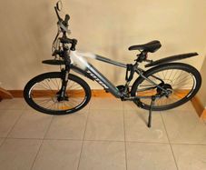 Electric bike
