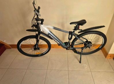 Electric bike