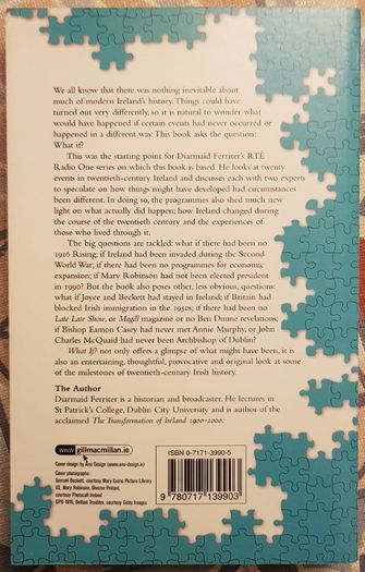 What If?: Alternative Views Of Twentieth-Century Ireland by Diarmaid Ferriter
