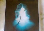 The Fly