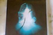 The Fly