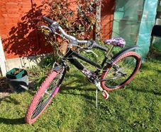Raleigh Girls Mountain Bike