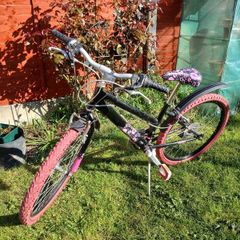 Raleigh Girls Mountain Bike