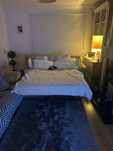 Couch sofa bed