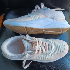 trainers