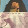 Chris Cornell Boxset Career Anthology (7LPs + 4CDs + 1DVD) Image 2