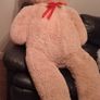 Extra large teddy bear Image 6