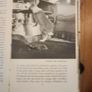 A Hare About The House. By Cecil S. Webb. First Edition. 1955 Hardback In Fair Condition. See Photos For Same. Image 6