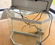 fish tank for sale