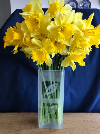 Glass Vase